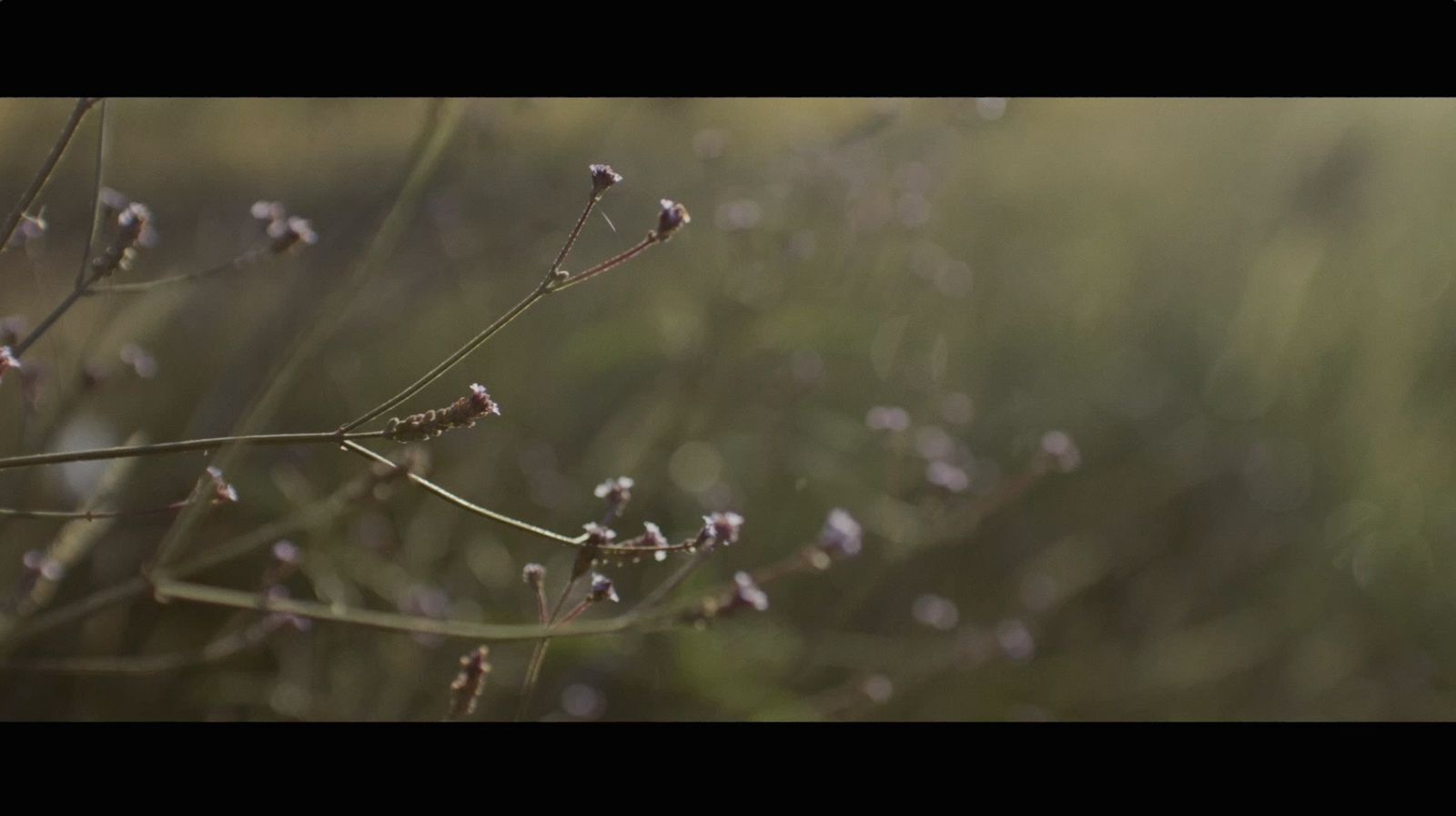 Video still from our Landcom project